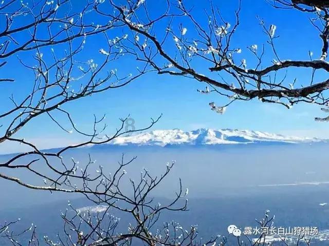男朋友比我有钱为什么还要我每个月给他一千，他工资也比我高，也比我有钱，在一起两年了？游戏画面