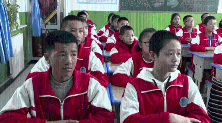 赛马大亨8