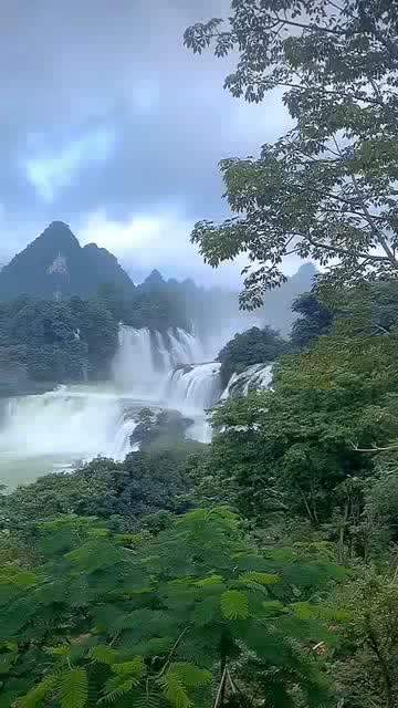 组装机械章鱼龙